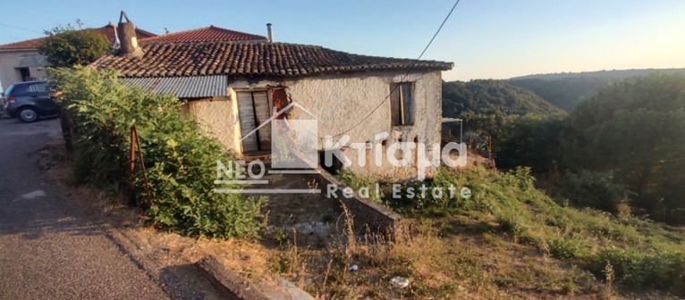 Μονοκατοικία 36 τ.μ. για πώληση, Ν. Ηλείας, Φολόη