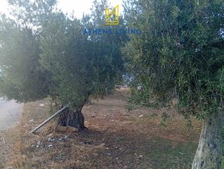 Οικόπεδο 10.700 τ.μ. για πώληση