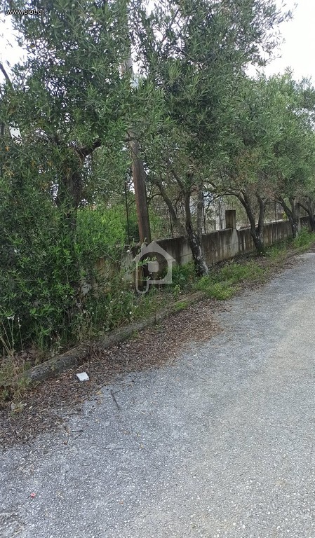 Οικόπεδο 450 τ.μ. προς πώληση, Πολυδένδρι Βερτίσκου