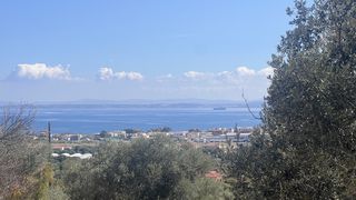 Οικόπεδο 3.018 τ.μ. για πώληση