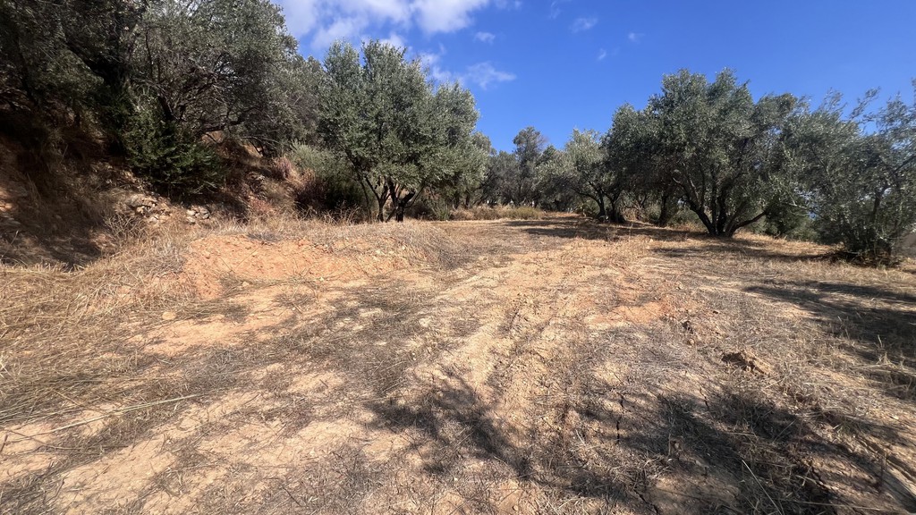 Οικόπεδο 3.018 τ.μ. προς πώληση, Πόλη Χίου
