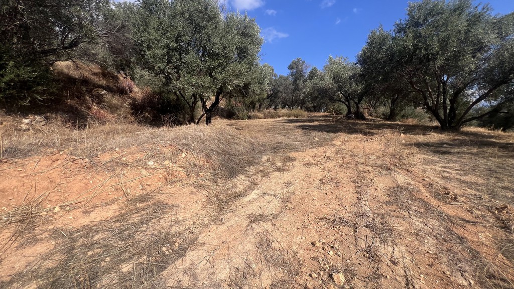 Οικόπεδο 3.018 τ.μ. προς πώληση, Πόλη Χίου