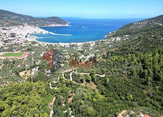 Αγροτεμάχια 25.641 τ.μ. για πώληση