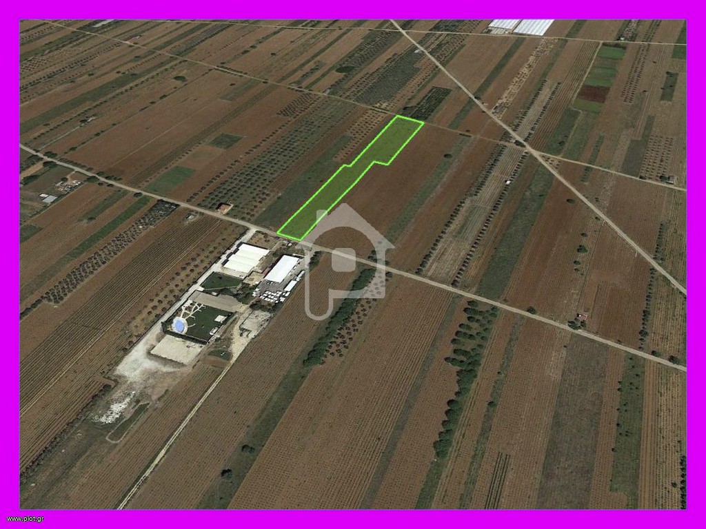 Αγροτεμάχια 9.500 τ.μ. προς ενοικίαση, Αθήνα - Ανατολικά Προάστια, Παιανία