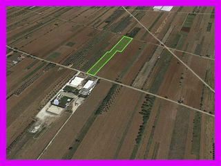 Αγροτεμάχια 9.500 τ.μ. για ενοικίαση