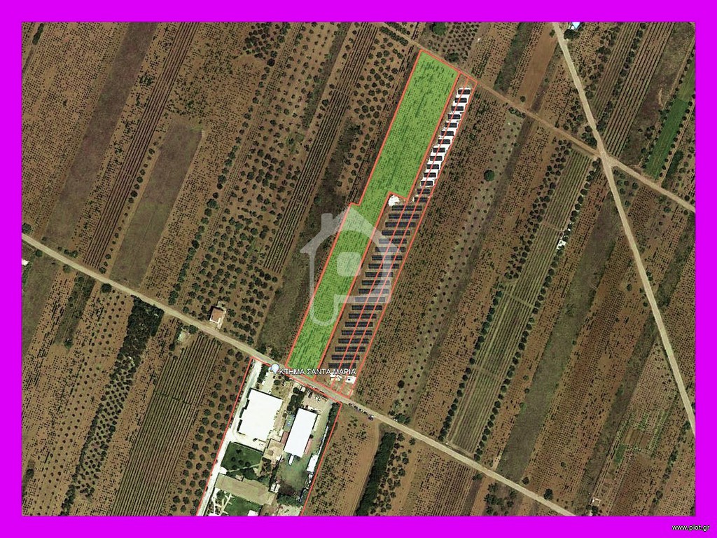 Αγροτεμάχια 9.500 τ.μ. προς ενοικίαση, Αθήνα - Ανατολικά Προάστια, Παιανία