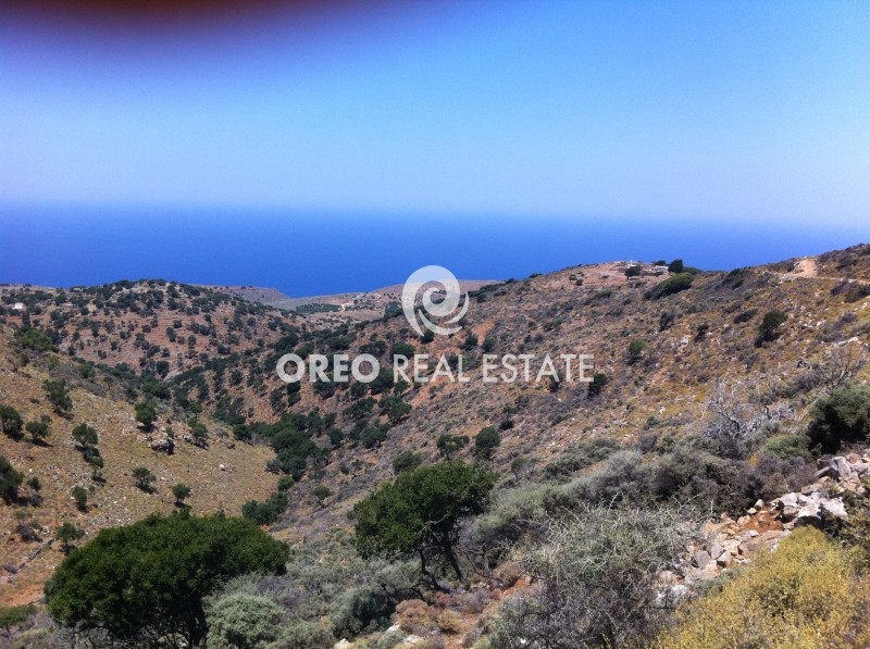 Αγροτεμάχια 21.409 τ.μ. προς πώληση, Καλός Λάκκος Αγίου Νικολάου