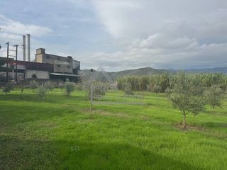 Οικόπεδο 6.200 τ.μ. για πώληση