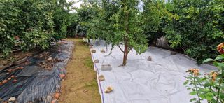 Διαμέρισμα 95 τ.μ. για πώληση, Μεσσηνία, Άριο-thumb-5