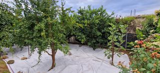 Διαμέρισμα 95 τ.μ. για πώληση, Μεσσηνία, Άριο-thumb-6
