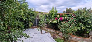 Διαμέρισμα 95 τ.μ. για πώληση, Μεσσηνία, Άριο-thumb-7