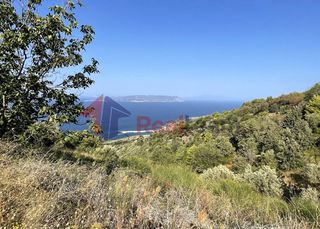 Αγροτεμάχια 4.405 τ.μ. για πώληση