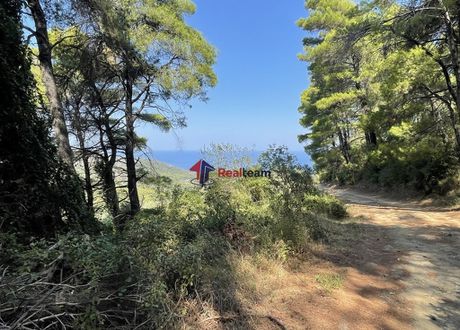 Αγροτεμάχια 7.010τ.μ. για πώληση-Σκόπελος