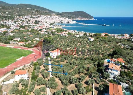 Αγροτεμάχια 3.548τ.μ. για πώληση-Σκόπελος