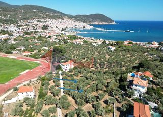 Αγροτεμάχια 3.548 τ.μ. για πώληση
