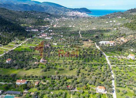 Αγροτεμάχια 1.754τ.μ. για πώληση-Σκόπελος