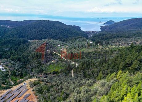 Αγροτεμάχια 4.900τ.μ. για πώληση-Σκόπελος