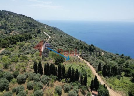 Αγροτεμάχια 3.800τ.μ. για πώληση-Σκόπελος