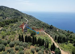 Αγροτεμάχια 3.800 τ.μ. για πώληση