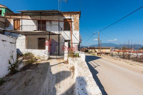 Μονοκατοικία 95τ.μ. για πώληση-Πτελεός