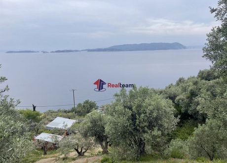 Αγροτεμάχια 4.480τ.μ. για πώληση-Σκόπελος