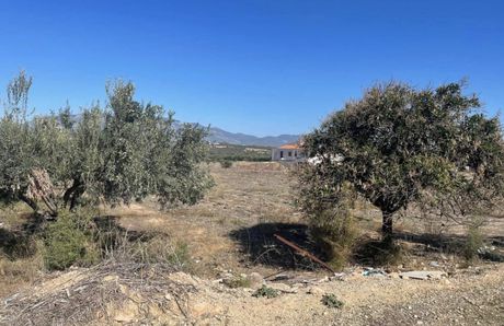 Αγροτεμάχια 6.501τ.μ. για πώληση-Κόρινθος