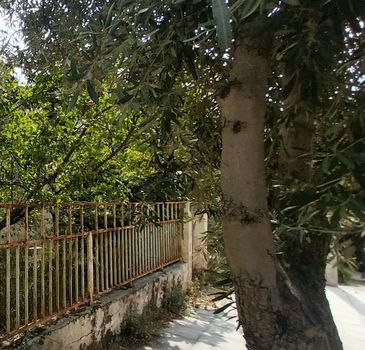 Οικόπεδο 275τ.μ. για πώληση-Νέα ερυθραία