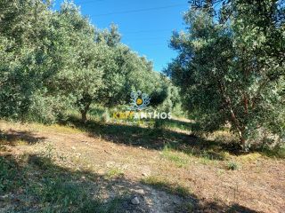 Οικόπεδο 2.017 τ.μ. για πώληση, Ν. Ρεθύμνου, Αρκάδι-thumb-5