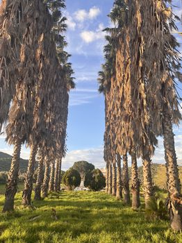 Land plot 6.845,42sqm for sale-Aidipsos