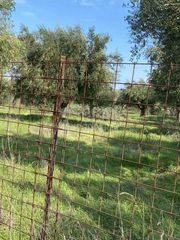 Οικόπεδο 3.185 τ.μ. για πώληση, Αχαΐα, Ωλένια-thumb-1
