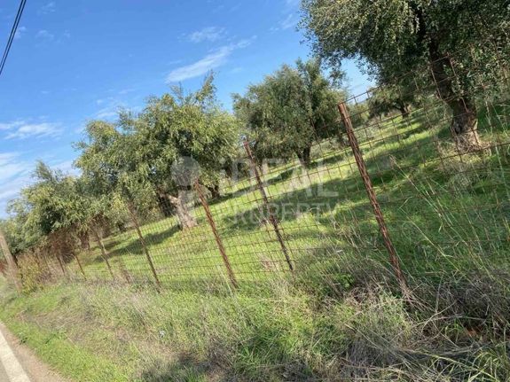 Οικόπεδο 3.185 τ.μ. για πώληση, Αχαΐα, Ωλένια