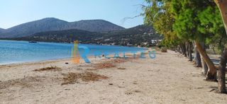 Συγκρότημα διαμερισμάτων 400 τ.μ. προς πώληση, Παναγιά Στύρων-thumb-19