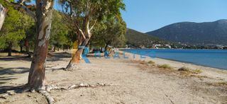 Συγκρότημα διαμερισμάτων 400 τ.μ. προς πώληση, Παναγιά Στύρων-thumb-7