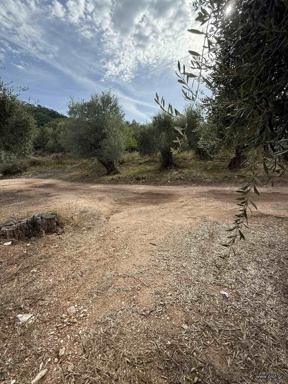 Οικόπεδο 350 τ.μ. προς πώληση, Σύβοτα