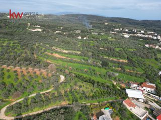 Αγροτεμάχια 10.560 τ.μ. για πώληση