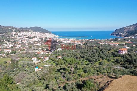 Αγροτεμάχια 4.277τ.μ. για πώληση-Σκόπελος