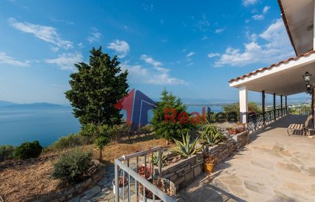 Μονοκατοικία 280τ.μ. για πώληση-Νέα αγχίαλος