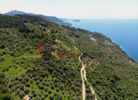 Αγροτεμάχια 5.200τ.μ. για πώληση-Σκόπελος