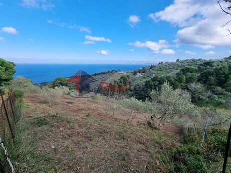 Parcel 7.500sqm for sale-Skopelos