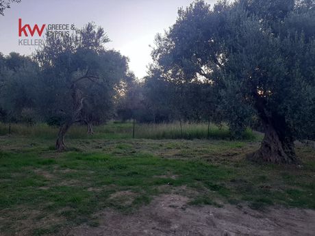 Οικόπεδο 220τ.μ. για πώληση-Ρίο