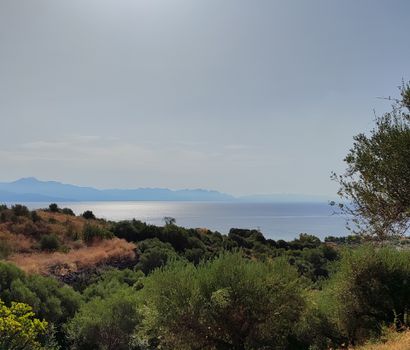 Αγροτεμάχια 7.371τ.μ. για πώληση-Πεταλίδι