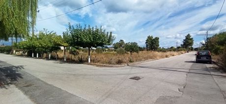 Οικόπεδο 1.075τ.μ. για πώληση-Κ. σκάλας ωρωπού