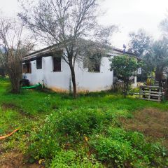 Μονοκατοικία 73 τ.μ. προς πώληση, Αίθαια-thumb-21