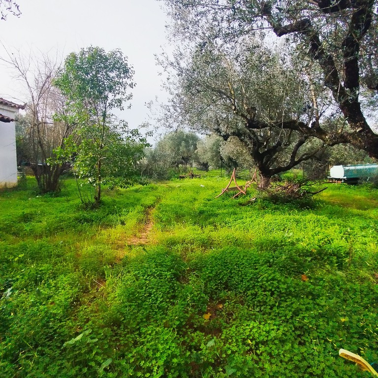 Μονοκατοικία 73 τ.μ. προς πώληση, Αίθαια
