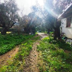 Μονοκατοικία 73 τ.μ. προς πώληση, Αίθαια-thumb-26