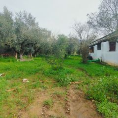 Μονοκατοικία 73 τ.μ. προς πώληση, Αίθαια-thumb-20