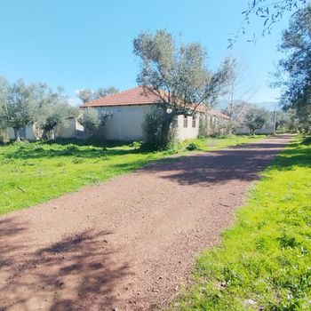 Αγροτεμάχια 5.050τ.μ. για πώληση-Ιθώμης