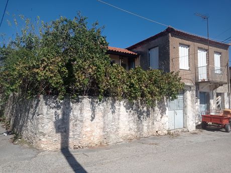 Μονοκατοικία 180τ.μ. για πώληση-Μελιγαλά