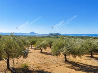 Οικόπεδο 35.089 τ.μ. για πώληση
