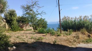 Οικόπεδο 312 τ.μ. για πώληση, Μεσσηνία, Κορώνη-thumb-12